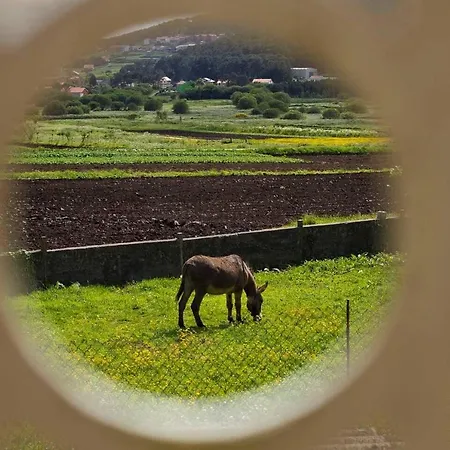 Casa Das Peritas Descanso Rural Y Playas 펜션 피니스테레